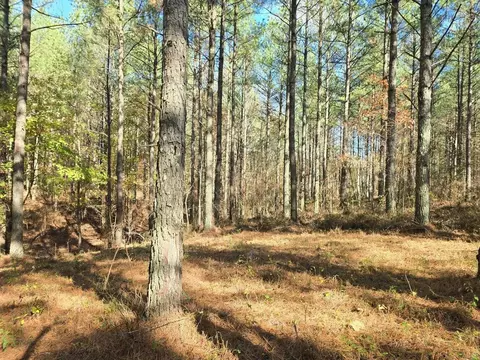 0 Melody Dr, Guild, TN 37340 photo 10