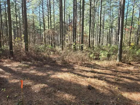 0 Melody Dr, Guild, TN 37340 photo 8