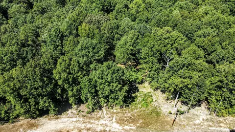0 Mayne Trace Rd, Waverly, TN 37185