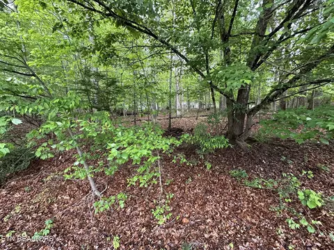 114 Shore Ln, Crossville, TN 38558