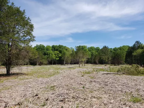 4821 Kedron Rd, Spring Hill, TN 37174