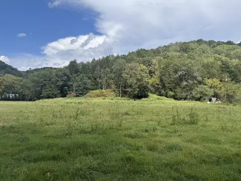 0 Hurricane Branch Ln, Gainesboro, TN 38562