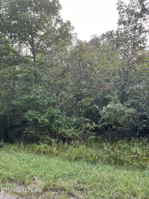 2029 Winnebago Dr, Crossville, TN 38572