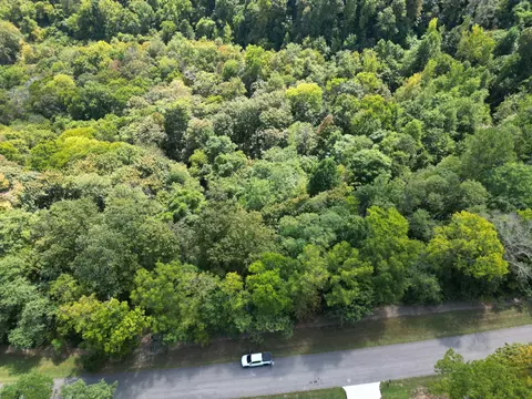 0 Rutherford Ln, Smithville, TN 37166