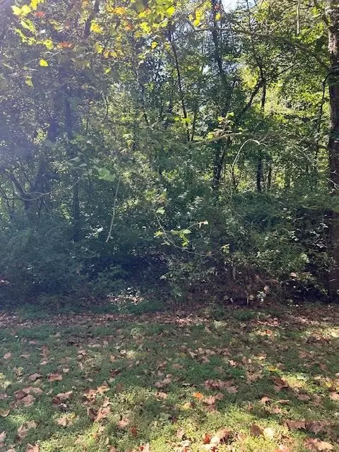 2411 Snowbird Hollow Rd, Franklin, TN 37064