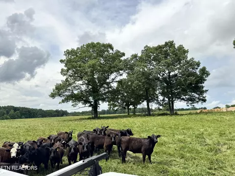 0 Old Bean Shed34acres Rd, Clarkrange, TN 38553