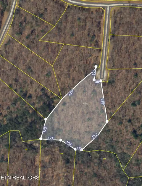 120 Edwards Ct, Grimsley, TN 38565 photo 13