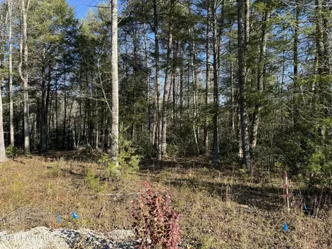 17 Ferry Bend Tr, Crossville, TN 38571