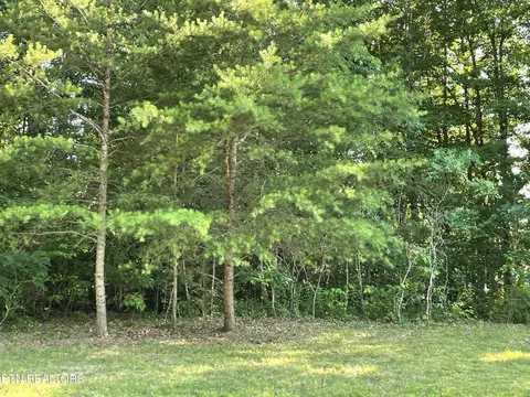 139 Hayden Ln, Clarkrange, TN 38553