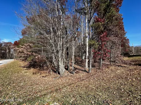0 T Pl, Monterey, TN 38574