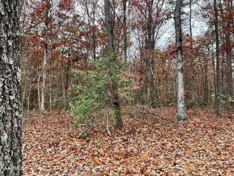 115 Stellar Ct, Clarkrange, TN 38553 photo 29