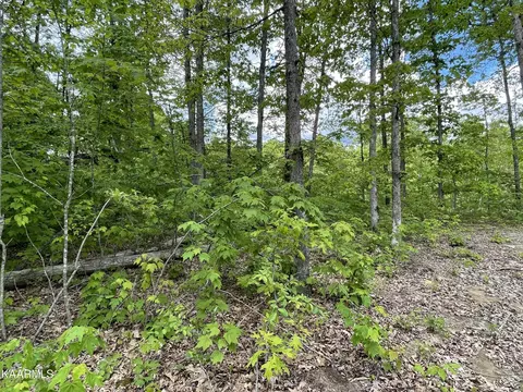 119 Stellar Ct, Clarkrange, TN 38553 photo 15