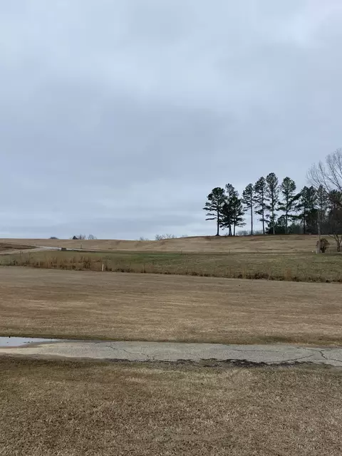 0 Rest Ln, Decaturville, TN 38329