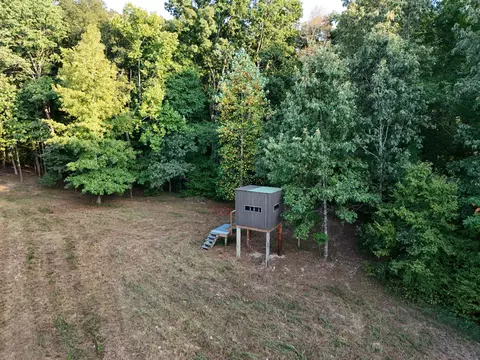 View/Area - 330 Durwachter Rd, Dover, TN 37058 photo 12 of 20