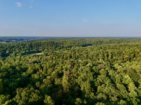 View/Area - 330 Durwachter Rd, Dover, TN 37058 photo 17 of 20