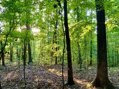 Other - 330 Durwachter Rd, Dover, TN 37058 photo 23 of 24