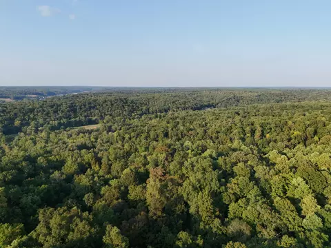 View/Area - 330 Durwachter Rd, Dover, TN 37058 photo 3 of 20