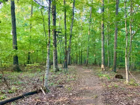 Other - 330 Durwachter Rd, Dover, TN 37058 photo 20 of 24