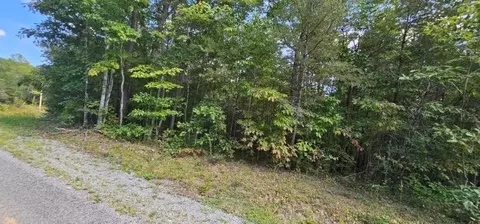 13 Bear Wallow Rd, Dunlap, TN 37327 photo 6