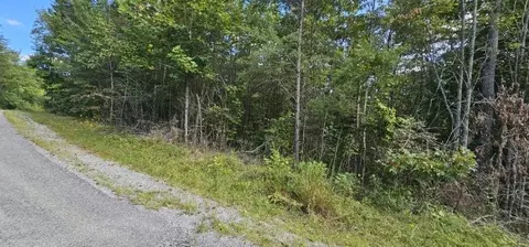13 Bear Wallow Rd, Dunlap, TN 37327 photo 5