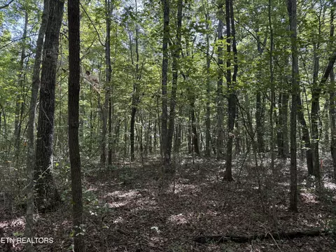 11 Jumpoff Pl, Monterey, TN 38574