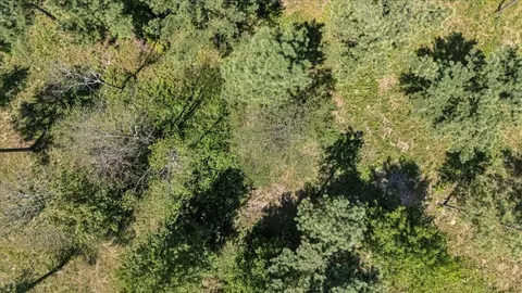0 Musket Rd, Guild, TN 37340 photo 5
