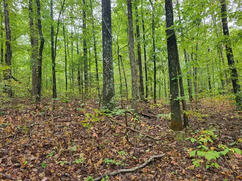 8103 Chief Red Cloud Dr, Crossville, TN 38572