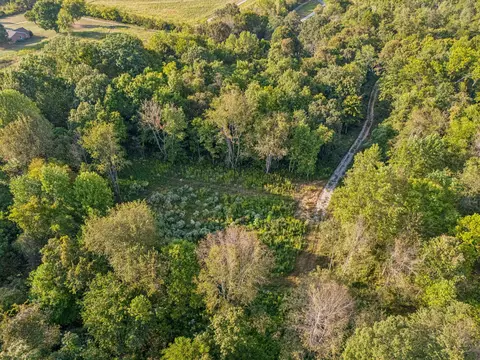 3294 Burr Rd, Springfield, TN 37172 photo 17