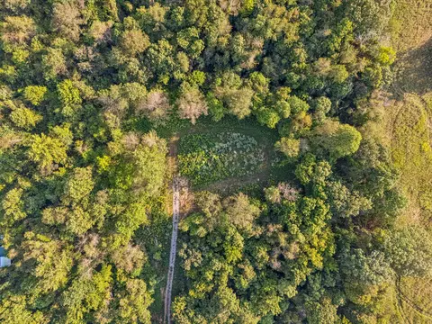 3294 Burr Rd, Springfield, TN 37172 photo 16