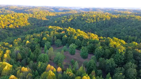 8218 Old Pond Creek Rd, Pegram, TN 37143