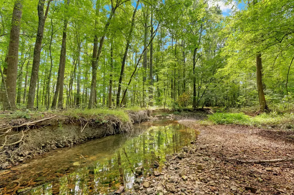 Other - 481 Matts Hollow Rd, Manchester, TN 37355 photo 19 of 21