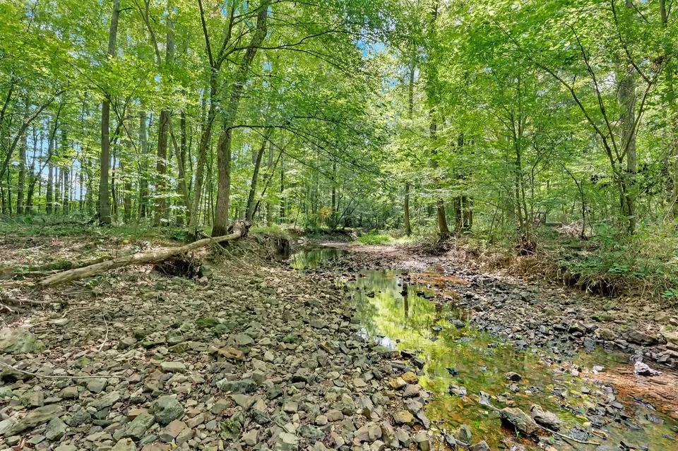 Other - 481 Matts Hollow Rd, Manchester, TN 37355 photo 20 of 21