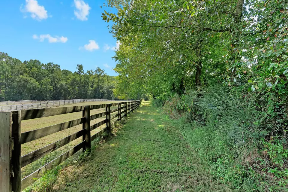 Other - 481 Matts Hollow Rd, Manchester, TN 37355 photo 18 of 21