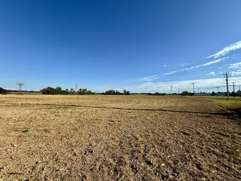 1469 S Main St, Covington, TN 38019 photo 1