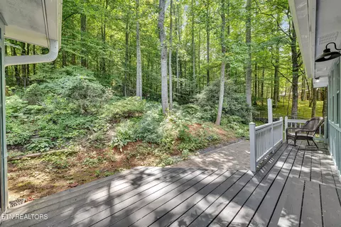 355 E Chestnut Hill Rd, Townsend, TN 37882 photo 56