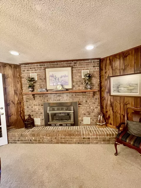 Other - 336 Second Creek Rd, Five Points, TN 38457 photo 2 of 8