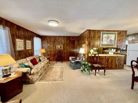 Living - 336 Second Creek Rd, Five Points, TN 38457 photo 4 of 6