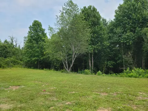 166 Happy Hollow Rd, Hohenwald, TN 38462