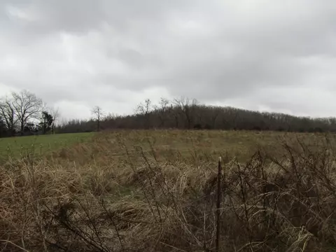 0 Anderson Rd, Byrdstown, TN 38549
