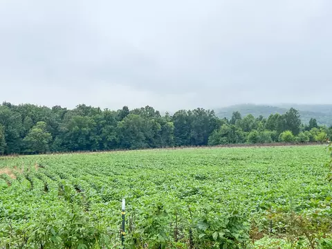 836 Spur Rd, Decherd, TN 37324 photo 2