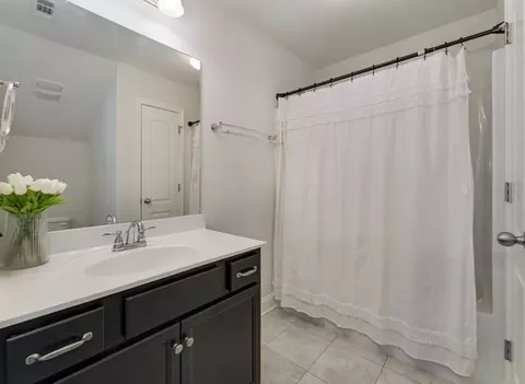 Bath - 1064 Daniel Ln, Spring Hill, TN 37174 photo 4 of 4