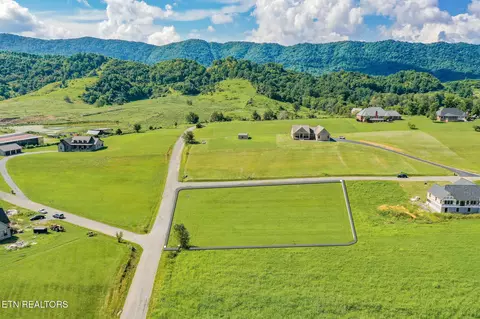 0 Lot 20 21 Starling Ln, Speedwell, TN 37870