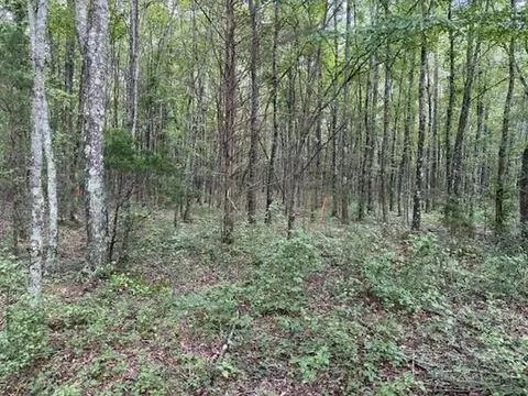 3 Goforth Rd, Morrison, TN 37357
