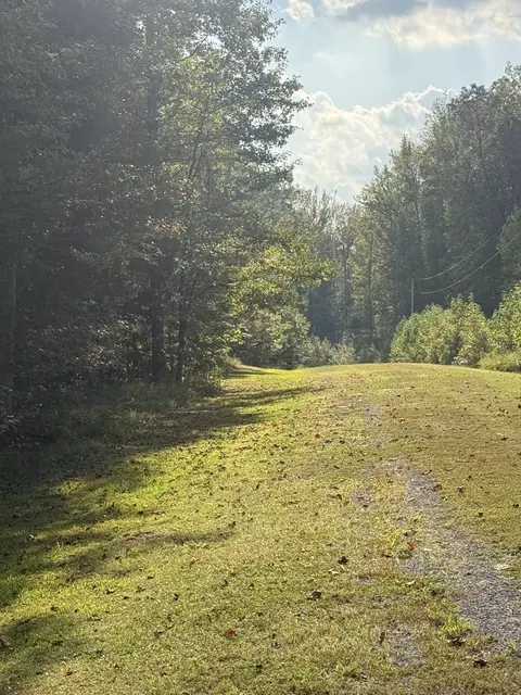 80 Torpedo Ct, Cedar Grove, TN 38321