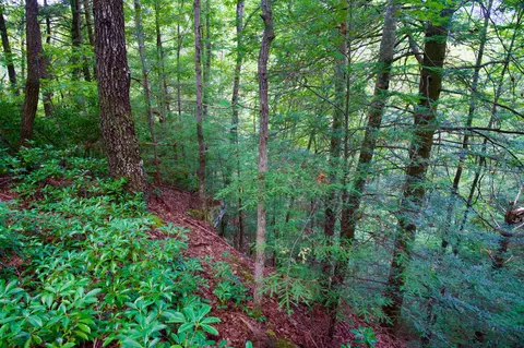 0 Fikes Field Rd Greenfield Rd, Spencer, TN 38585