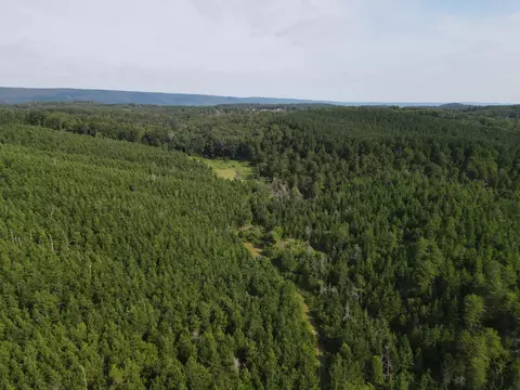 0 Pleasant Rd Off Rd, Evensville, TN 37332