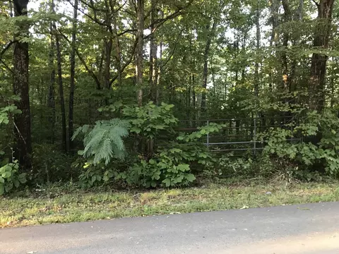 0 Switzerland Rd, Hohenwald, TN 38462