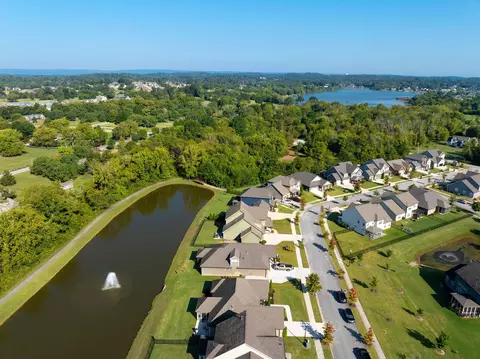 View/Area - 8353 River Birch Loop, Ooltewah, TN 37363 photo 7 of 13