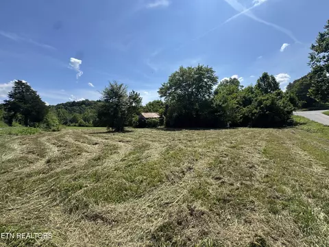 0 Leadvale Church Rd, White Pine, TN 37890