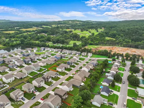 7432 Game Bird St, Corryton, TN 37721 photo 30